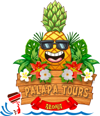 Toronto Palapa Tours